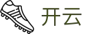 开云(中国)官方平台 - 首页服务中心